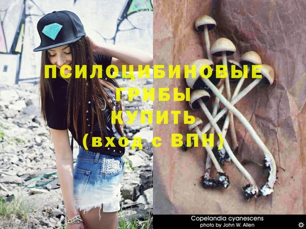 марихуана Верхний Тагил